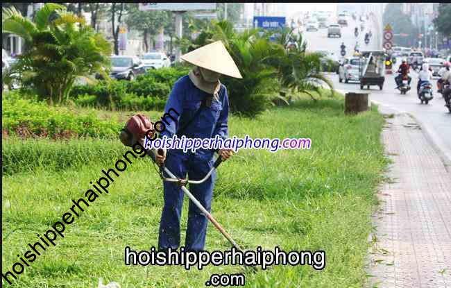 Tai sao cac ban nen su dung dich vu cat co o Hai Phong - hoishipperhaiphong