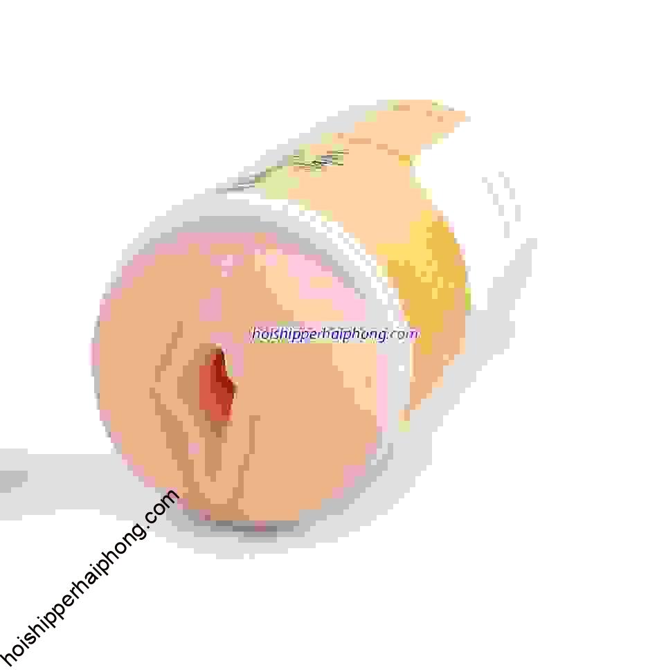 qinga - hoishipperhaiphong