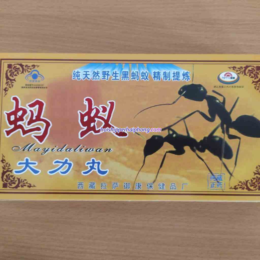 kien cang den tay tang 30 compressed - hoishipperhaiphong