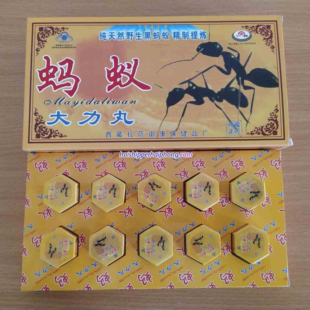 kien cang den tay tang 31 - hoishipperhaiphong kien cang den tay tang 31 - hoishipperhaiphong