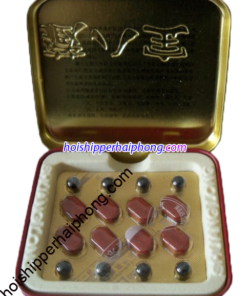 nen - hoishipperhaiphong