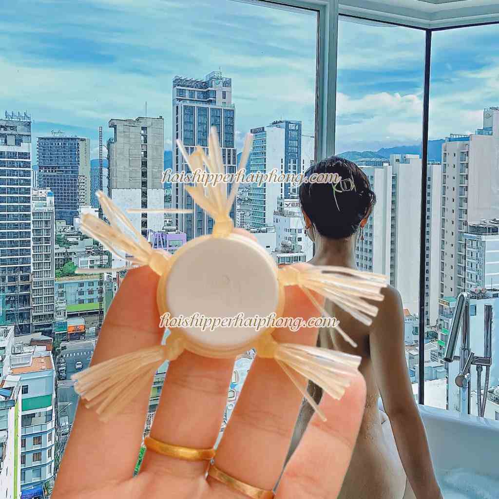 rau rong silicon 112 - hoishipperhaiphong rau rong silicon 112 - hoishipperhaiphong