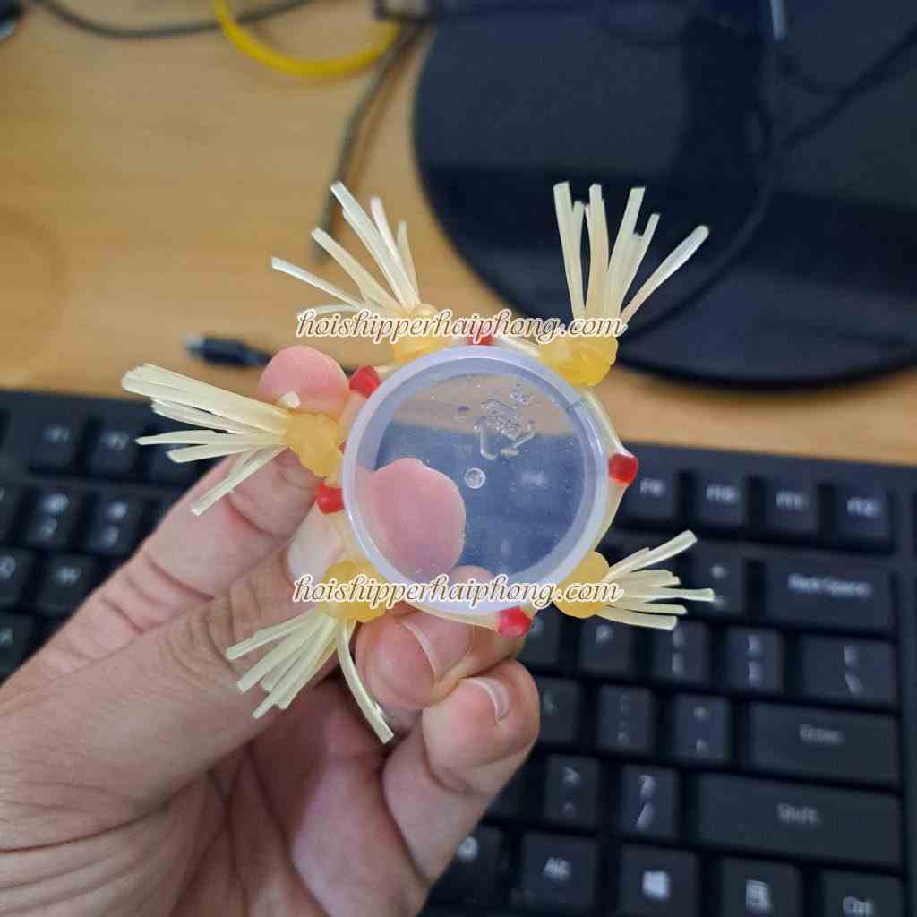 z3883409726428 3bacbba77a593cc6c5b331cda886fe9c - hoishipperhaiphong Râu rồng silicon tphcm là gì?
