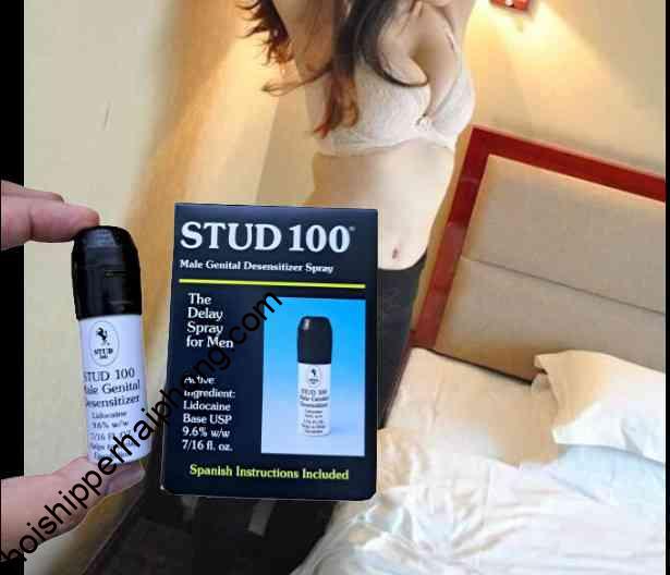 stud 100, ngựa thái tại Quảng Ninh